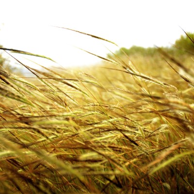 1920 x 1080 HD Wallpapers 1878